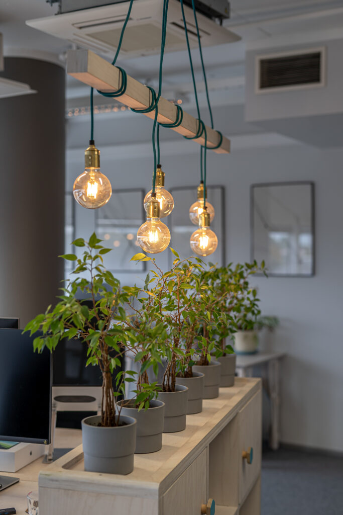 Ripplambid ja toataimed