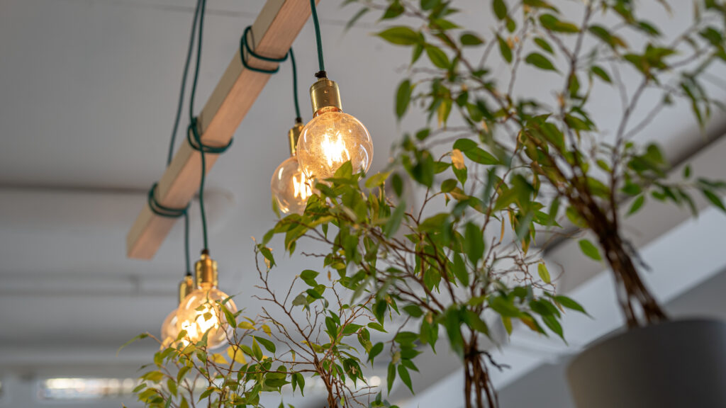 Ripplamp taimede kohal