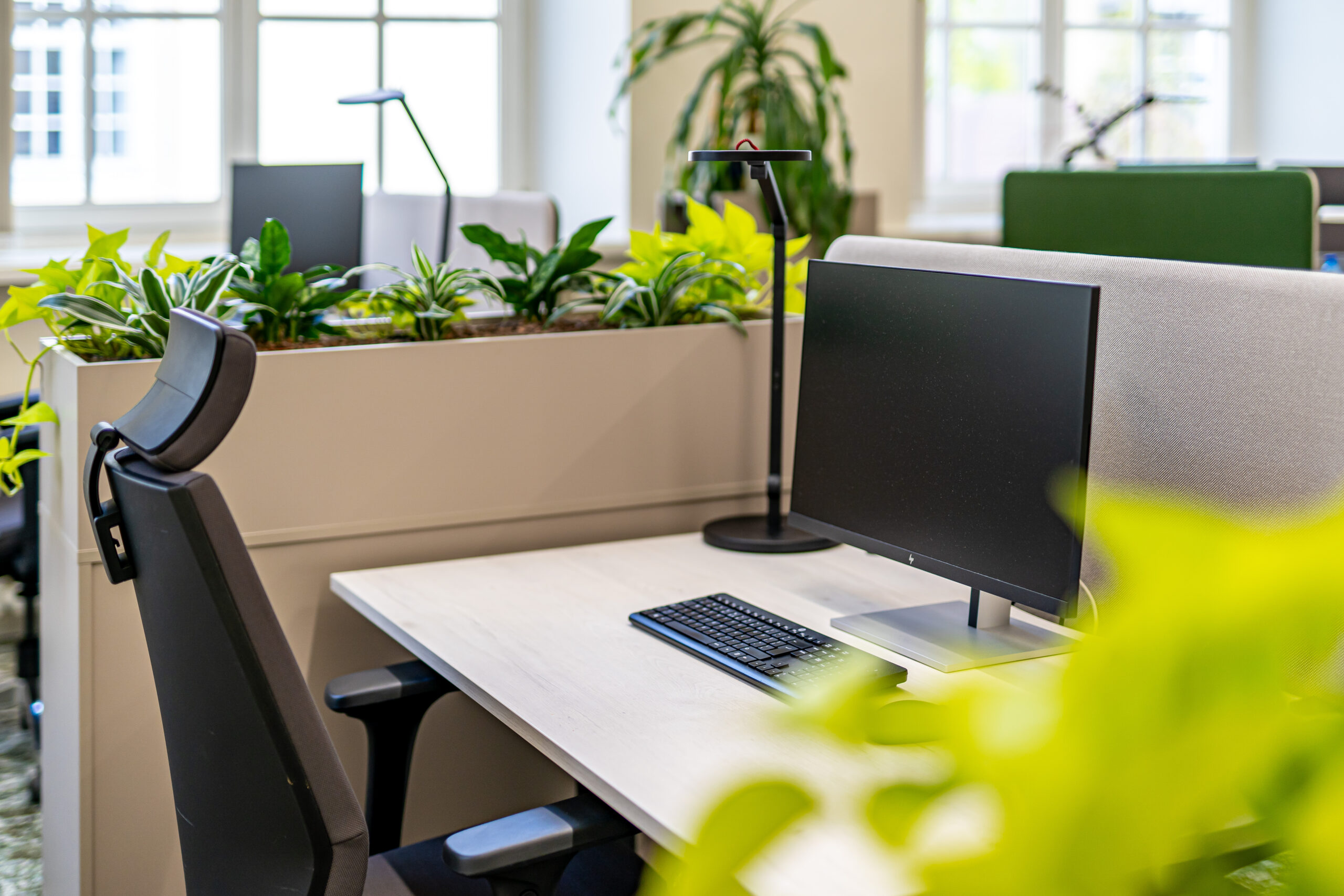 TÜ geograafia osakonna ruumid