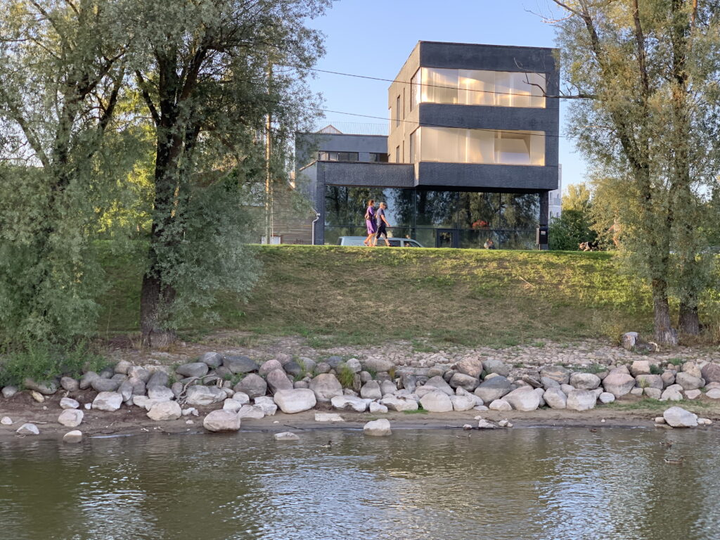 Kaasaegne elamuarhitektuur